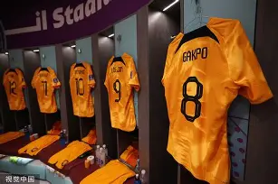 法兰克福清晨更衣室发声，志在德甲名次提升，球迷炸锅，训练强度明显提升的简单介绍